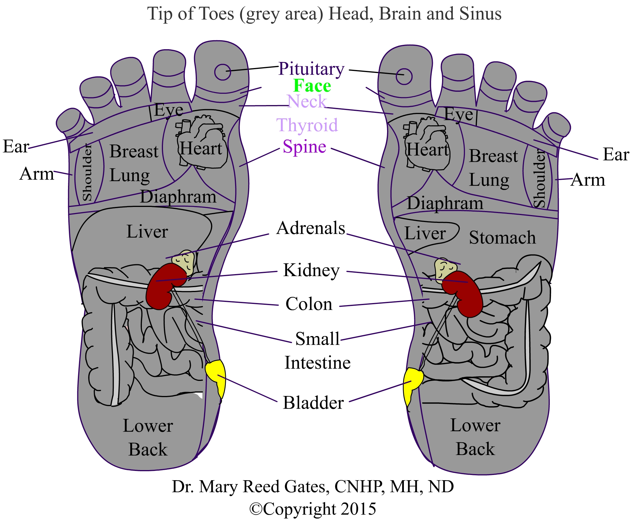 Reflexology