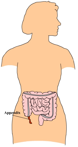 al