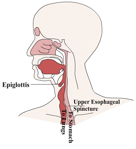 epil